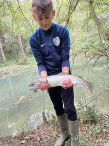 Rainbow Trout