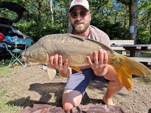 Mirror Carp