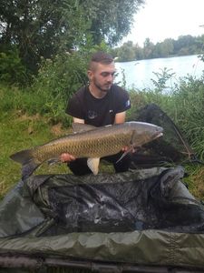 Grass Carp