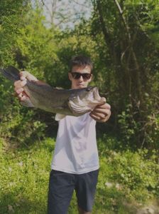 Largemouth Bass