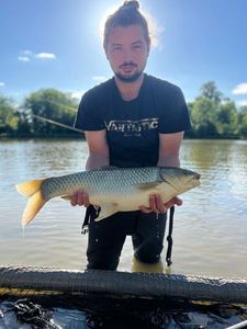 Grass Carp