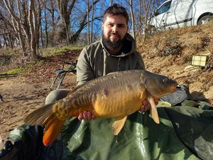 Mirror Carp