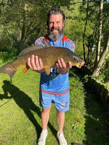 Common Carp