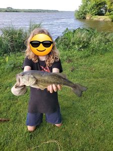 Largemouth Bass