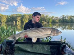 Grass Carp