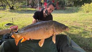 Mirror Carp