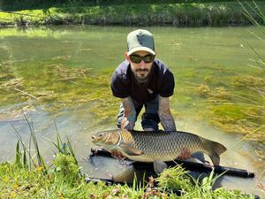 Grass Carp