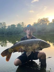 Leather Carp