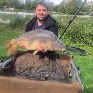 Mirror Carp