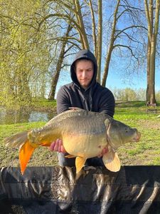 Leather Carp