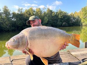 Mirror Carp