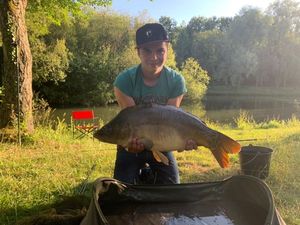 Mirror Carp
