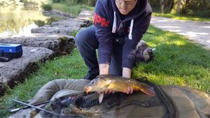 Mirror Carp