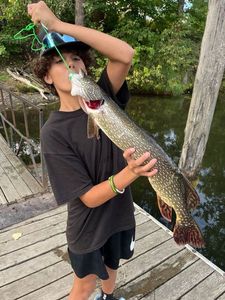 Northern Pike