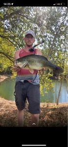 Largemouth Bass