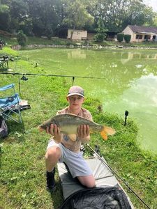 Mirror Carp