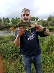 Smallmouth Bass