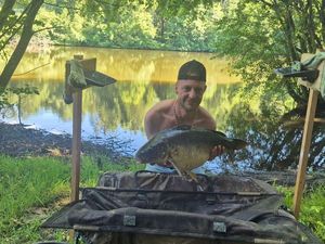 Mirror Carp