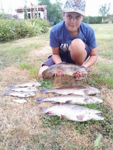Tiger Trout