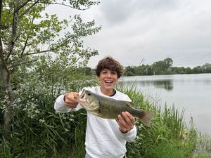 Largemouth Bass