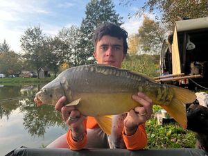 Mirror Carp