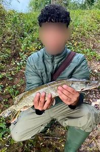Northern Pike
