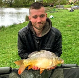 Mirror Carp