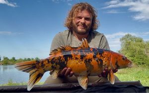 Koï Fish