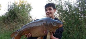 Mirror Carp