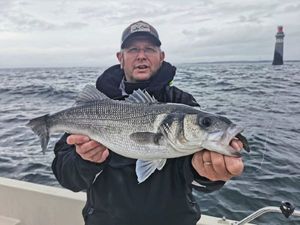 European Bass (Seabass)