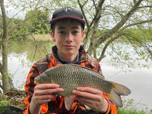 Common Carp