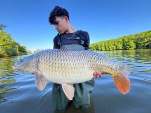 Mirror Carp
