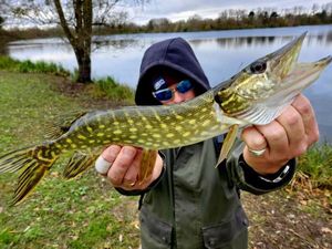 Northern Pike