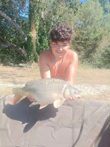 Mirror Carp