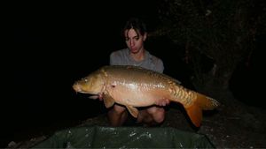 Mirror Carp