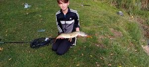 Northern Pike