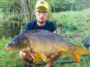 Common Carp