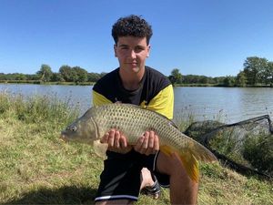 Common Carp