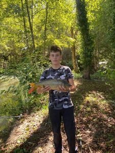 Common Carp