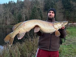 Northern Pike