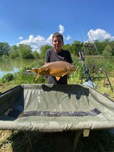 Mirror Carp