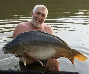 Mirror Carp