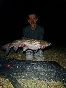 Silver Carp