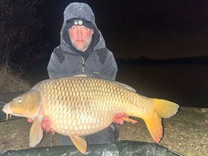 Common Carp