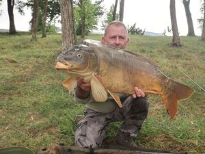 Mirror Carp