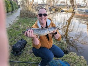 Northern Pike