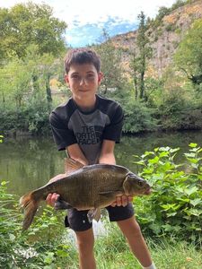 Common Bream