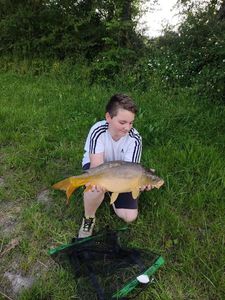 Mirror Carp