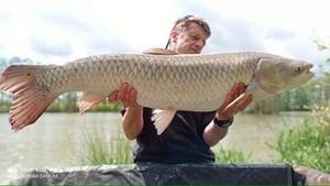 Grass Carp