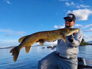 Northern Pike